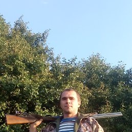 ������, ��������, 37 ���