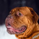 ���� Leonid, ������������, 55 ��� - ��������� 2 ������� 2014 � ������ ������� �� ������ � ����� ������ ����� ������,�