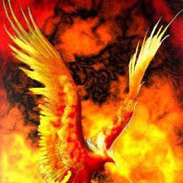 ���, ������, 24 ����