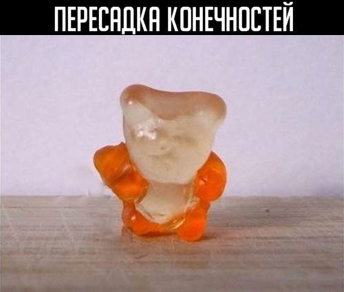  . - 3