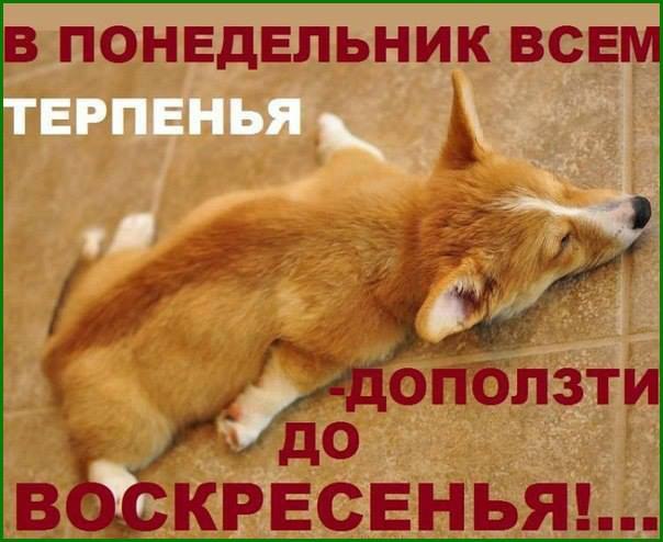  -  - 24  2014  17:59