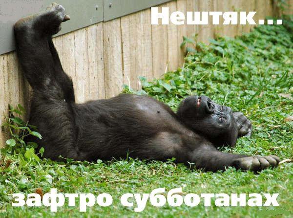 ������� ������ - 12 �������� 2014 � 17:31