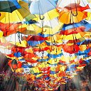 ���� Semih, ������, 66 ��� - ��������� 21 ������ 2014 � ������ ������ ��������