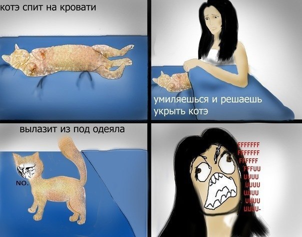 Кот не вылазит из под кровати