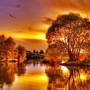 ���� �������, ����������� - ��������� 16 �������� 2014 � ������ ���� ����������