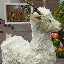 ���� ������� �����, ��������� - ��������� 6 �������� 2014 � ������ ������ ��������