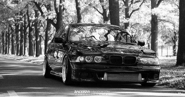 BMW 530d+ Sedan (E39). 250 HP, 570 Nm. - 4