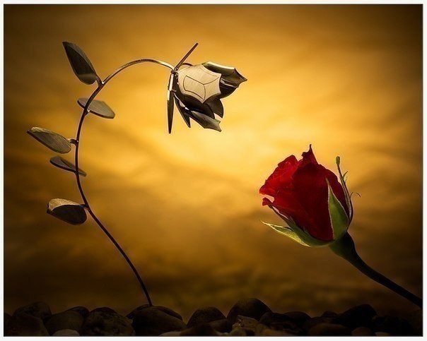 �� ��������, ������ �������� � �����, ������� �� ������ �� ���� � ���� �� �������.