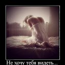 ���� ������, �����-��������� - ��������� 23 ������ 2014 � ������ ������ ��������