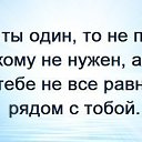 ���� ������, ���������, 61 ��� - ��������� 20 �������� 2014 � ������ ���� ����������