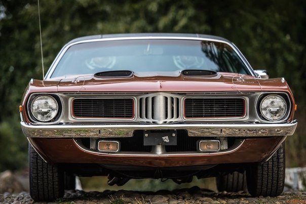 1973 Plymouth 'Cuda - 5