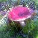 ���� ������, ������ - ��������� 14 �������� 2014 � ������ �������