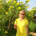 ���� ������, ���������, 67 ��� - ��������� 11 ������ 2014