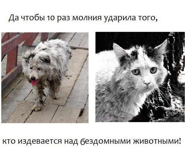 Art & Fun - 9  2014  02:44