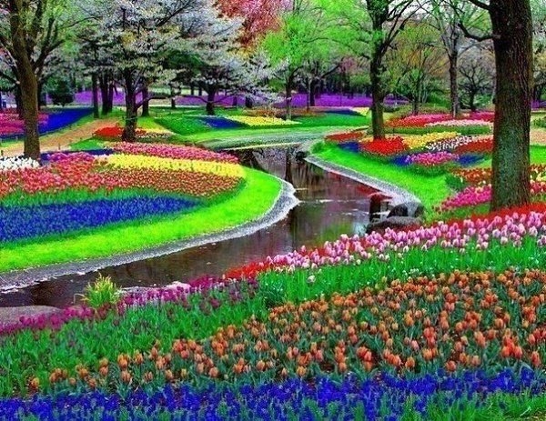Подписывайтесь на нас: http://fotostrana.ru/public/233467 ;-) Парк Keukenhof неподалеку от ...