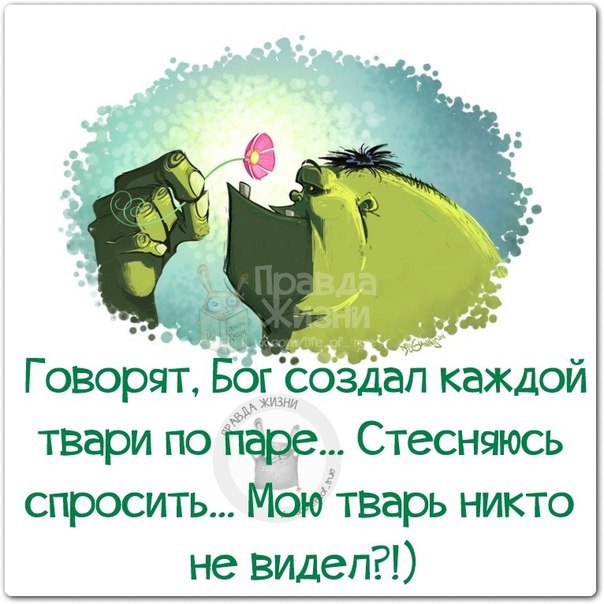   - 17  2014  07:09