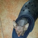 ���� ��������, ����-����, 53 ���� - ��������� 10 ������� 2014 � ������ ���� ���� � �����