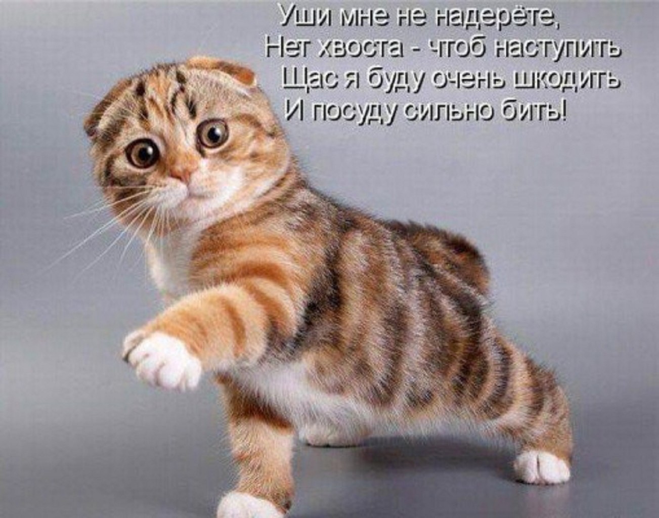 =