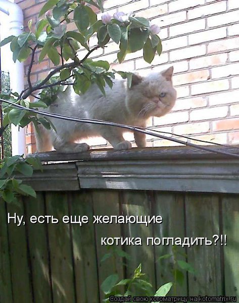 Marina - 1 ������� 2014 � 07:30