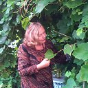 ���� �������, ����� - ��������� 10 �������� 2014 � ������ ���� ����������