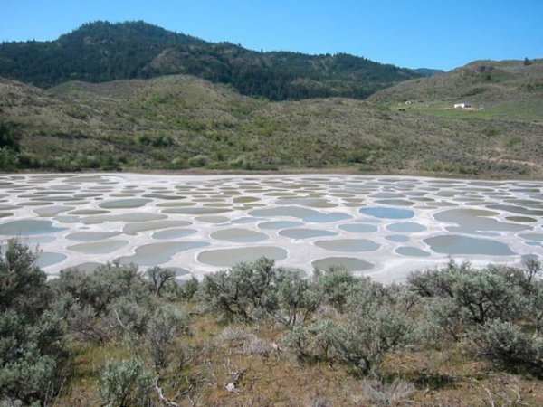        .  (Spotted Lake),    ... - 2