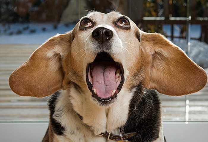 �������� ������ - 7