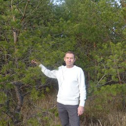 ������, �������, 58 ���