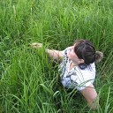 ���� �������, ������, 48 ��� - ��������� 23 ������� 2014 � ������ ���� ����������