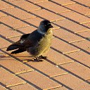 25 ������� 2014. ��������� ����. �����. �� ������� ������� ��������)))�