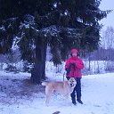 ���� �����, �����-���������, 72 ���� - ��������� 23 ������� 2014 � ������ ���� ����������