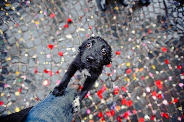 �� �������� ��������!