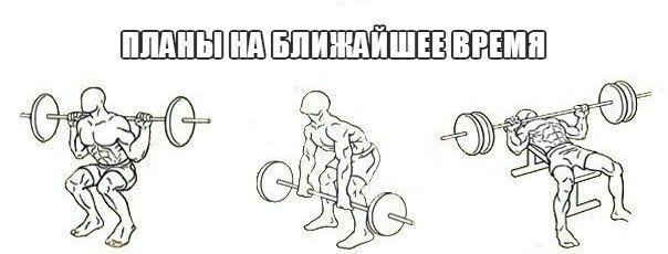 SportFeed - 20  2014  20:24