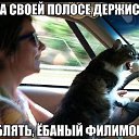 ���� ������, �����, 54 ���� - ��������� 16 ������ 2014 � ������ ���� ����������