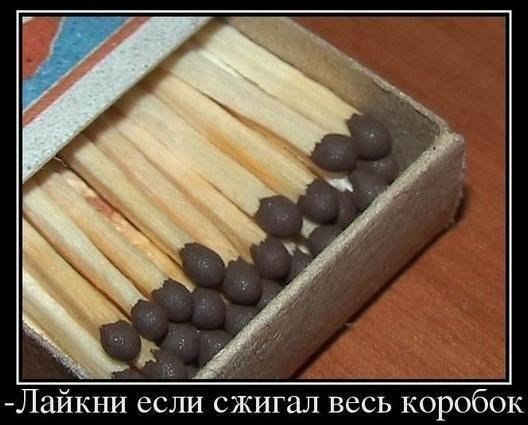 Art & Fun - 24  2014  18:29