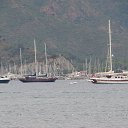 ���� �����, ������, 72 ���� - ��������� 21 ������� 2014 � ������ ������ ��������