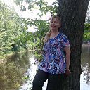 ���� ��������, ������������ - ��������� 3 �������� 2014 � ������ ���� ����������