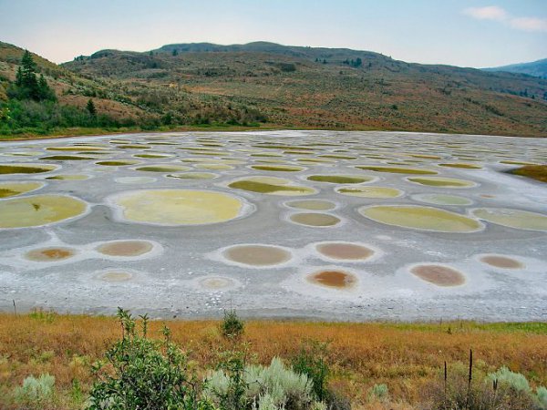        .  (Spotted Lake),    ... - 3