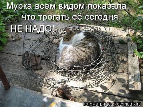 �������������� �� ���: <a href=
