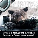 ���� �@ir, ������ ��������, 44 ���� - ��������� 2 ������ 2014 � ������ ������ ��������