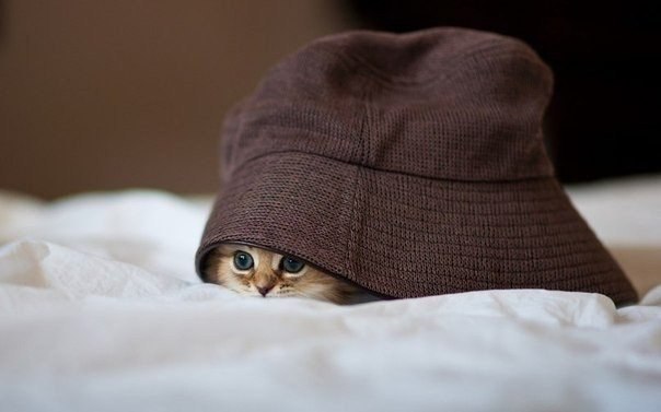 ...����� ���� ���� ���� ����� �������� - 2