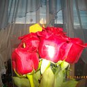 28.08.14 �� ������� ���� ����������