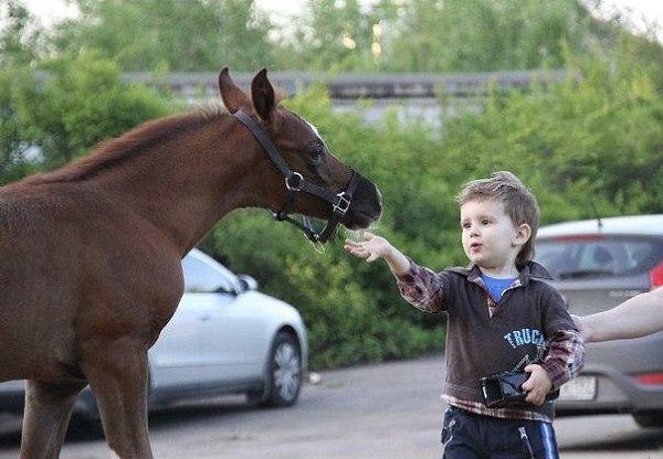 Примите участие в конкурсе https://vk.com/club31508051?w=wall-31508051_286 и выиграйте три занятия в ...