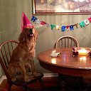 ���� ������, ���������� �����, 51 ��� - ��������� 30 ������� 2014 � ������ ������ ��������