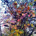 ���� ������, ������, 64 ���� - ��������� 5 ������� 2014 � ������ ���� ����������