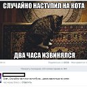 ���� ����, ������ - ��������� 15 ������� 2014 � ������ ���������