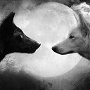 ���� =_Black And White_=, ��� - ��������� 1 �������� 2014
