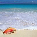 ���� ����, ��� - ��������� 10 �������� 2014 � ������ ���� ����������