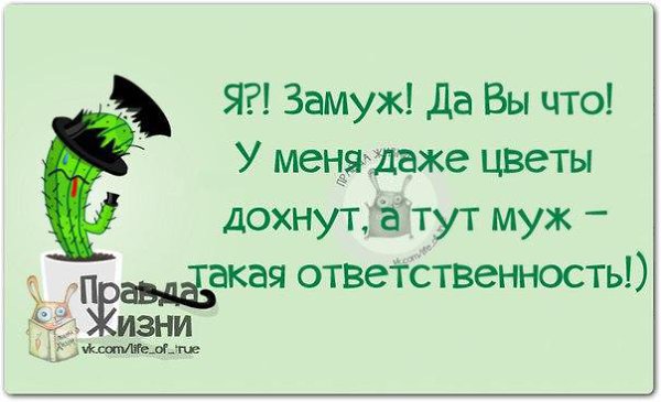����� - 3 ������ 2014 � 11:59
