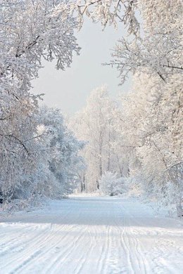 ТЕКСТЫ ПЕСЕН О ЗИМЕ