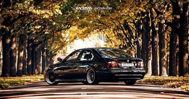 BMW 530d+ Sedan (E39). 250 HP, 570 Nm. - 5